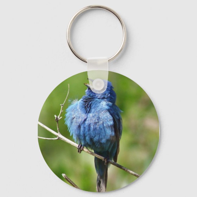 Indigo Bunting Keychain (Front)