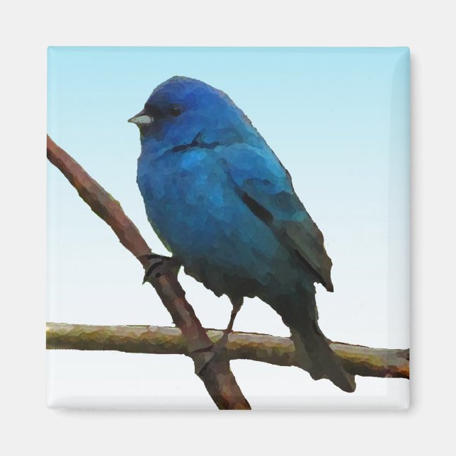 Indigo Bunting Magnet (Front)