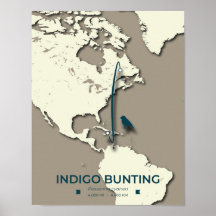 Indigo Bunting Migration Map – Minimalist Vintage 