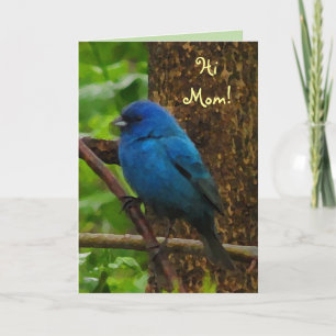 Indigo Bunting Mother's Day Card