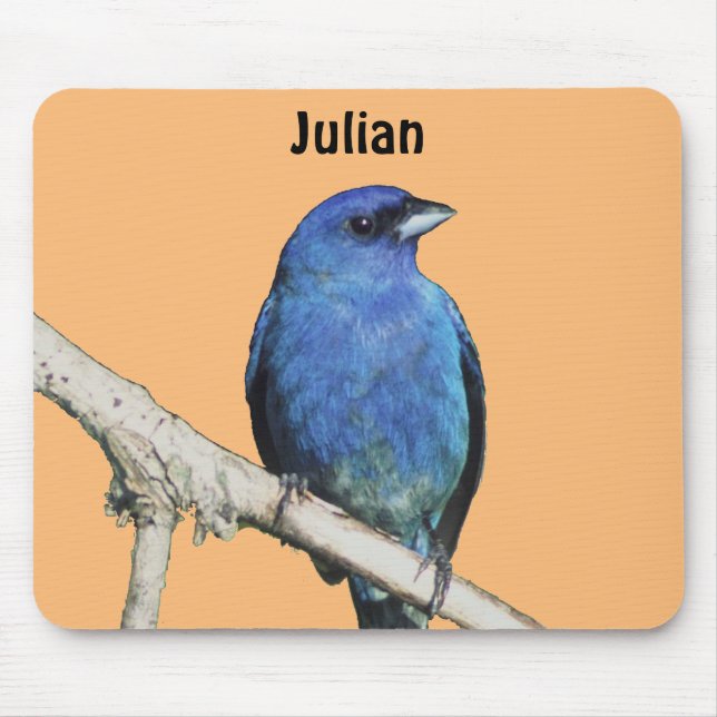 Indigo Bunting Mouse Mat (Front)