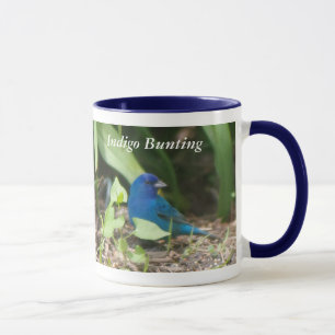 Indigo Bunting Mug