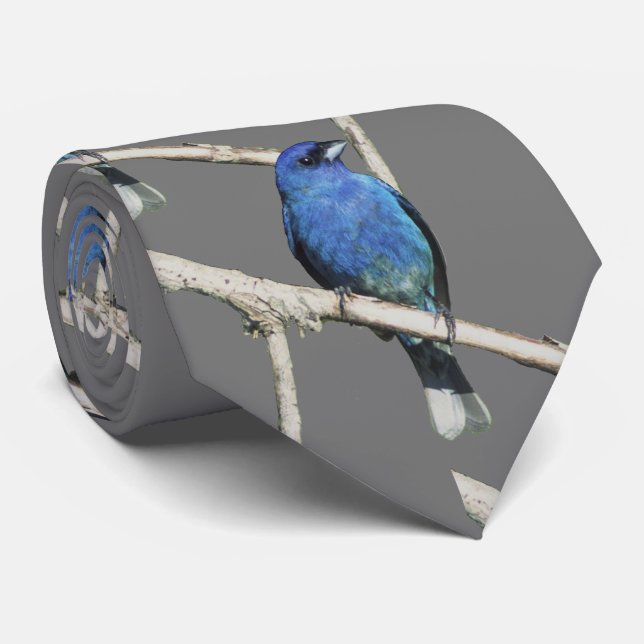 Indigo Bunting Neck Tie (Rolled)