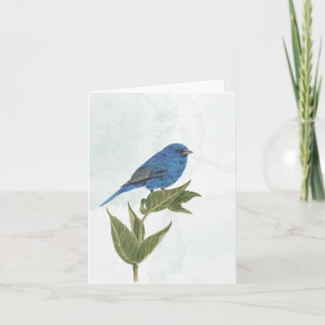 Indigo Bunting Note Card (Front)