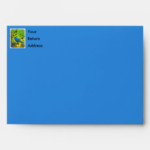 Indigo Bunting Painting - Original Bird Art Envelope