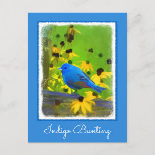 Indigo Bunting Painting - Original Bird Art Postcard