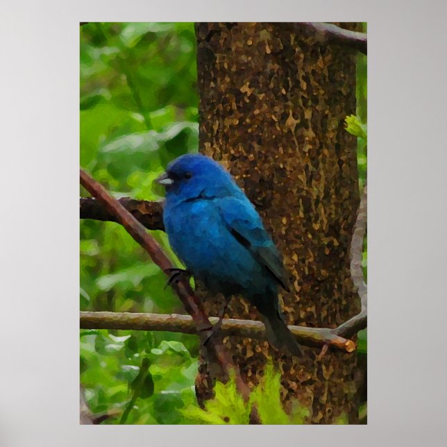 Indigo Bunting Poster (Front)