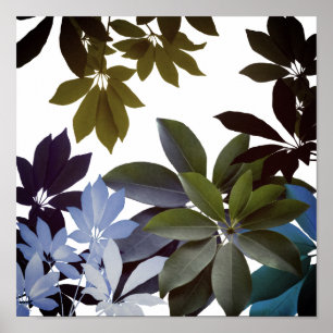 Indigo Leaves, Plants poster