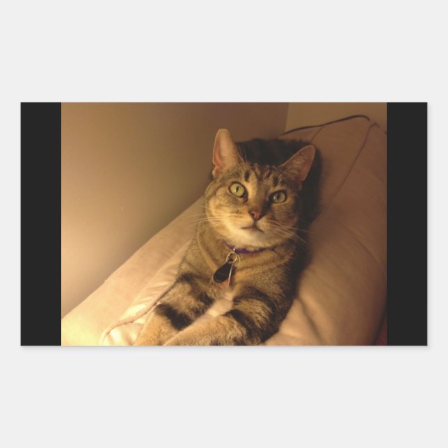 Indigo Model Pose Rectangular Sticker (Front)