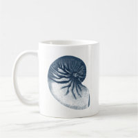 Indigo Shark Eye Seashell