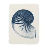 Indigo Shark Eye Seashell