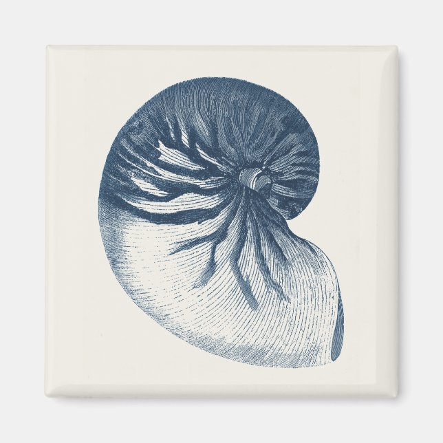 Indigo Shark Eye Seashell Magnet (Front)