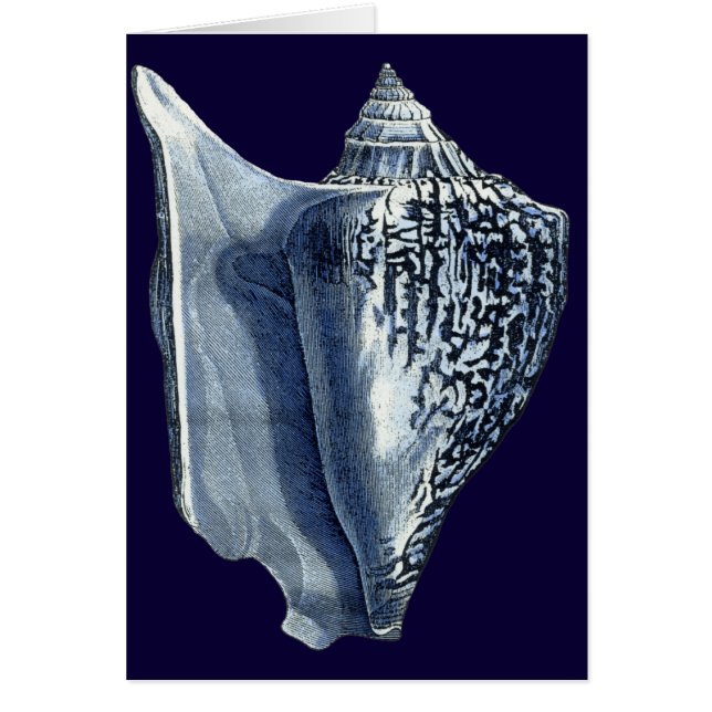 Indigo Shells I (Front)