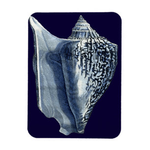 Indigo Shells I Magnet
