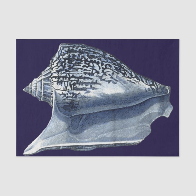 Indigo Shells I Tissue Paper (Front)