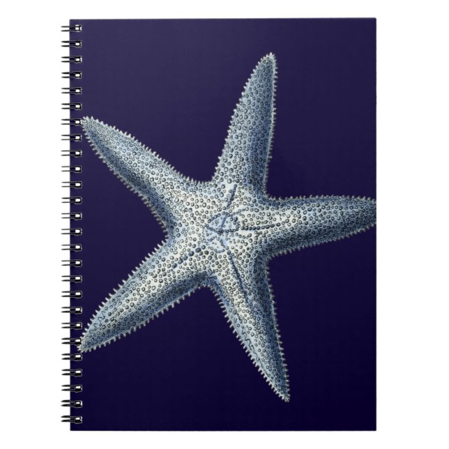 Indigo Shells IV Notebook (Front)