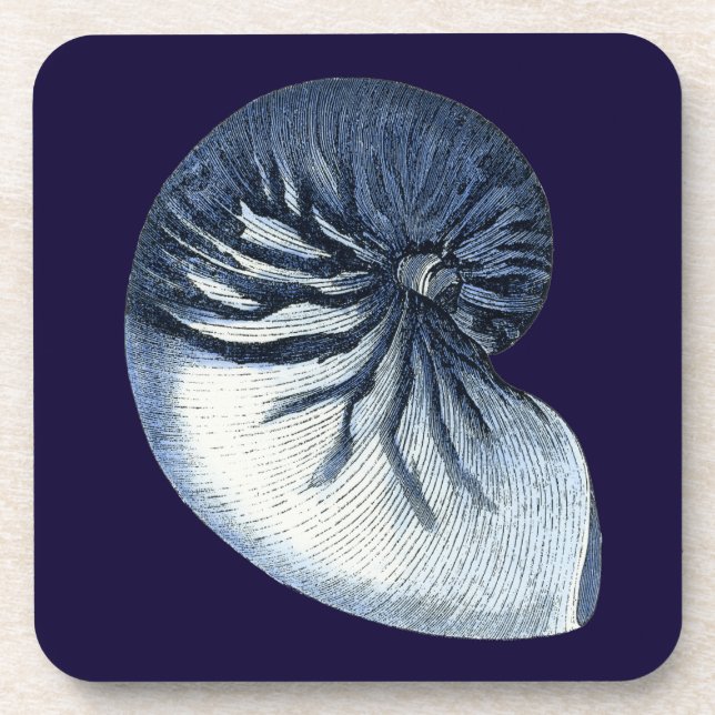 Indigo Shells VII Coaster (Front)