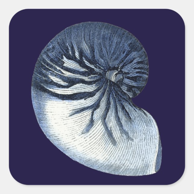 Indigo Shells VII Square Sticker (Front)