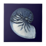 Indigo Shells VII Tile<br><div class="desc">Marine Life</div>
