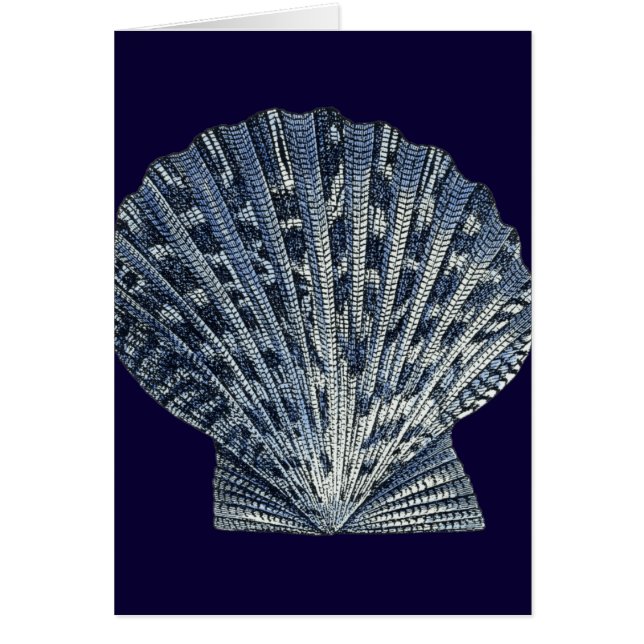 Indigo Shells VIII (Front)