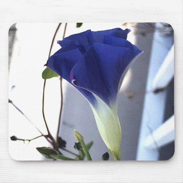Indigo Swirl Morning Glory Close-up Mouse Mat (Front)