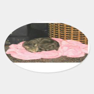 Indigo's Bathrobe Oval Sticker