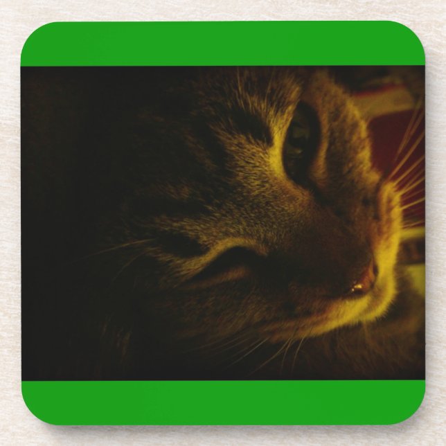 Indigo's Close-up Coaster (Front)