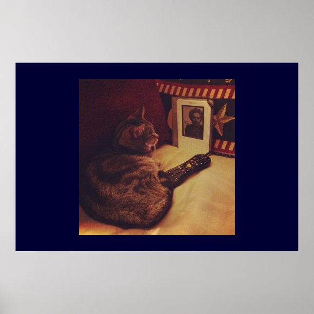 Indigo's Kindle Poster (Front)