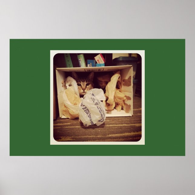 Indigo's Secret Hideout Poster (Front)