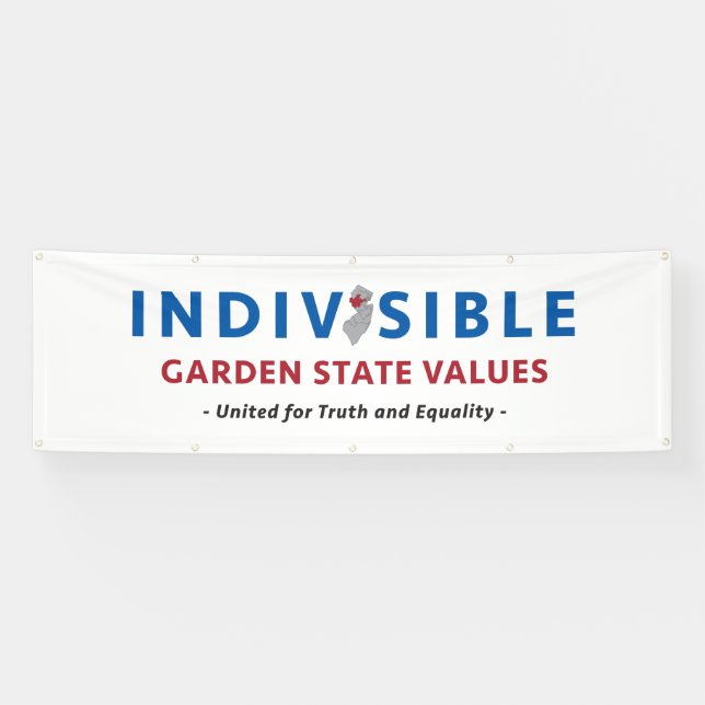 Indivisible GSV Banner (Horizontal)
