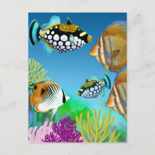 Indo Pacific Reef Fish Postcard