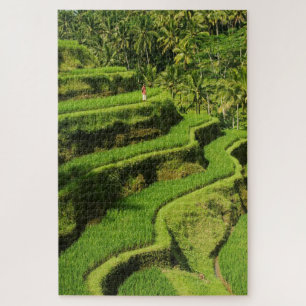 Indonesia, Bali Rice Paddies Jigsaw Puzzle