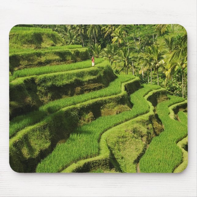 Indonesia, Bali | Rice Paddies Mouse Mat (Front)