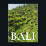 Indonesia, Bali | Rice Paddies Postcard<br><div class="desc">Indonesia,  Bali,  Rice Paddies,  Worker In Background. | Design Pics / DanitaDelimont | AS11 DPI0066</div>