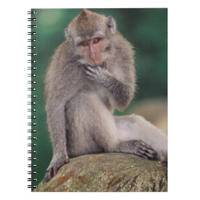 Indonesia, Bali, Ubud, Long-tailed Macaque Notebook (Front)