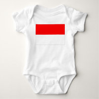 Indonesia Flag