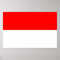 Indonesia Flag
