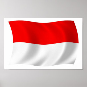 Indonesia Flag Poster Print