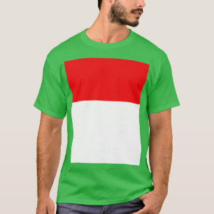 Indonesia Flag T-Shirt