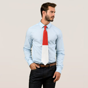 Indonesia flag tie