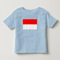 Indonesia Flag