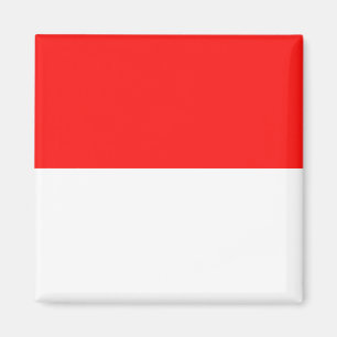 Indonesia High quality Flag Magnet