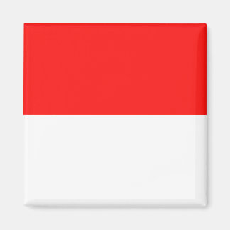 Indonesia High quality Flag Magnet