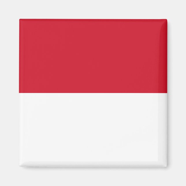 Indonesia (Indonesian) Flag Magnet (Front)