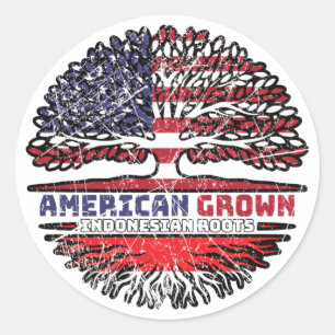 Indonesia Indonesian US American USA United States Classic Round Sticker
