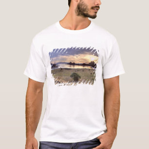 Indonesia, Komodo National Park. Sunset on one T-Shirt