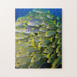 Indonesia. Schooling Fish Jigsaw Puzzle