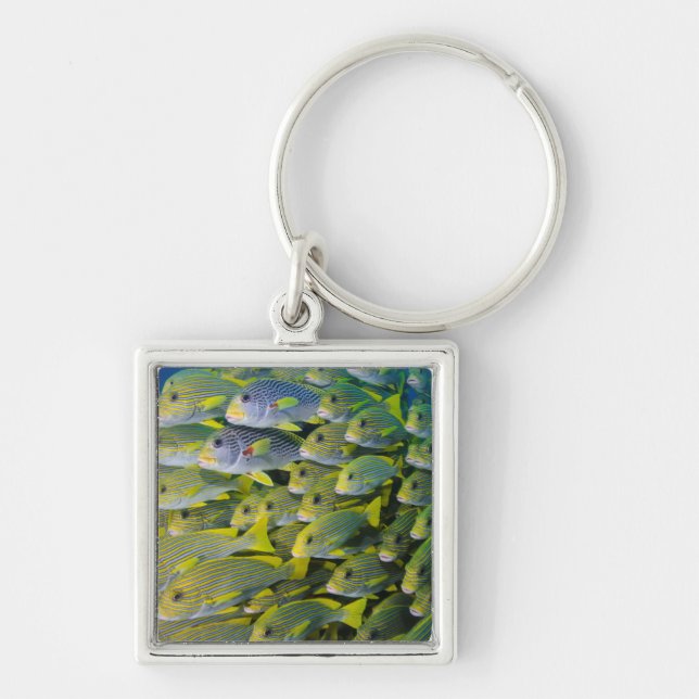 Indonesia. Schooling Fish Key Ring (Front)