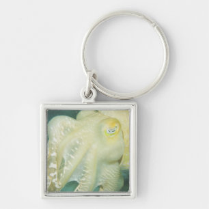 Indonesia, South Sulawesi Province, Wakatobi Key Ring