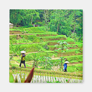Indonesian Rice Field Magnet